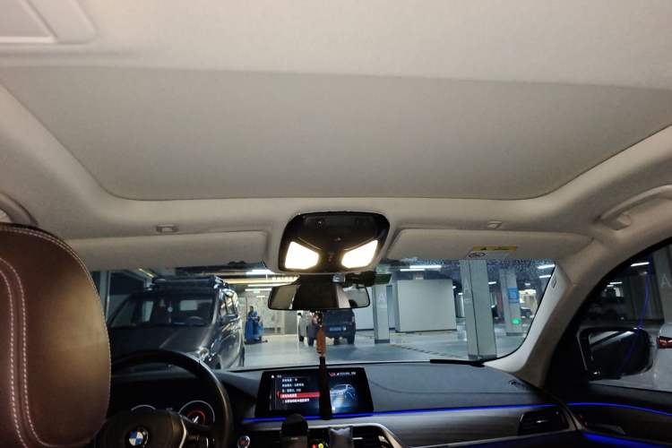 Used BMW 5 Series New Energy 2019 530Le Luxury Package