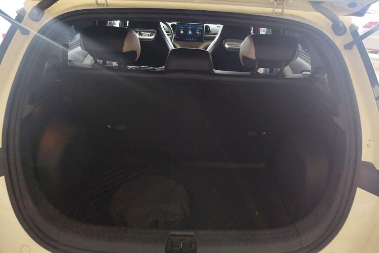 Used BYD Dolphin 2023 420 km Free Version