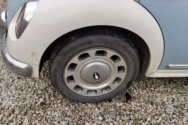 Used ORA Ballet Cat 2023 401 km Luxury Version
