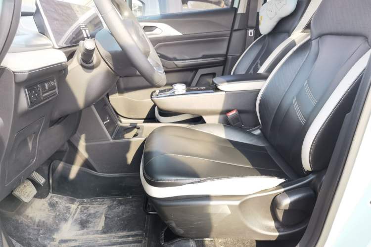 Used Geometry E Firefly 2022 401 km Linglong Tiger 4 Seats
