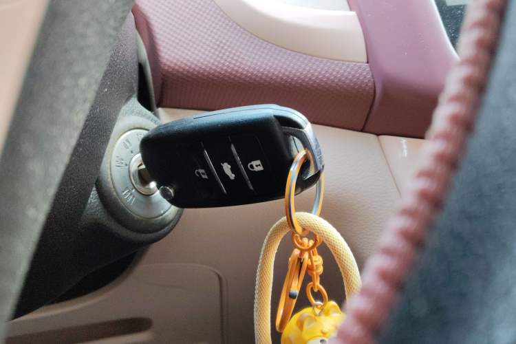 Used Oshan Benni E-Star 2021 National Edition Colorful Version Lithium Iron Phosphate (31.86 kWh)
