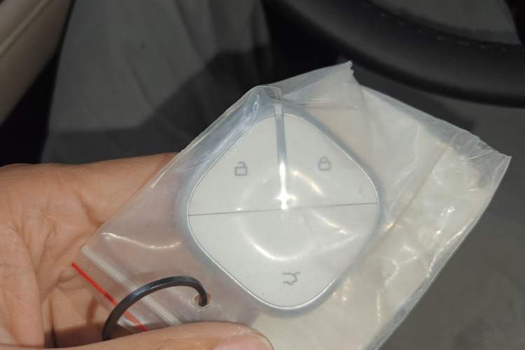 Used Wuling Bingo PLUS 2024 330 km Range Five-Seater Version