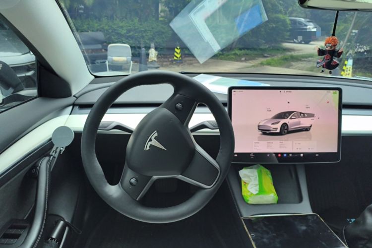 Used Tesla Model 3 2022 Rear-Wheel-Drive Version