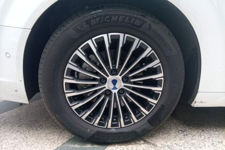 Used Denza D9 2022 DM-i 970 Four-Wheel Drive Flagship Model
