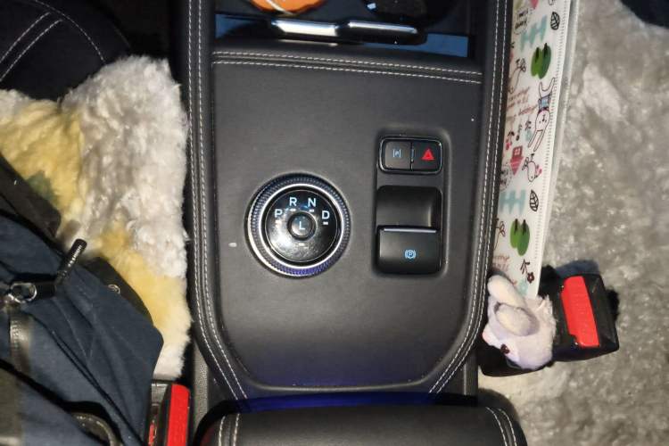 Used Ford Mustang Mach-E 2021 AION Y Plus Rear-Drive Luxury Edition (Long Range)
