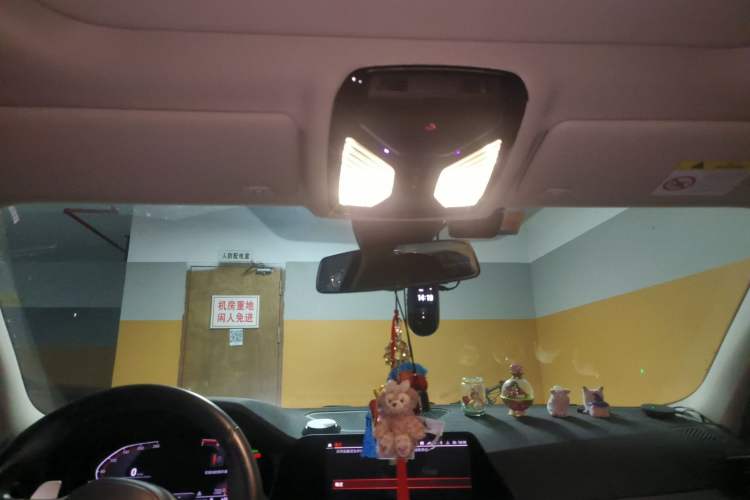 Used BMW 3 Series 2021 Second Facelift 325Li M Sport Night Edition Package Headliner