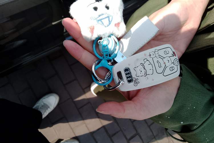 Used Audi A4L 2022 40 TFSI Luxury Dynamic Model