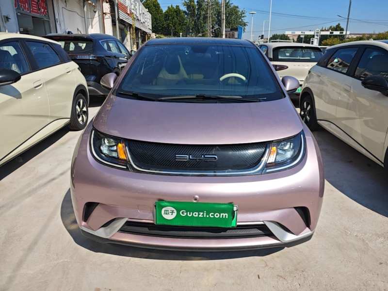 Used BYD Dolphin 2023 420 km Fashion Edition — 2