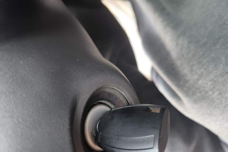 Used Ford Transit 2017 2.0T Diesel Multi-Purpose Commercial Vehicle Short Wheelbase Low Roof China V Standard