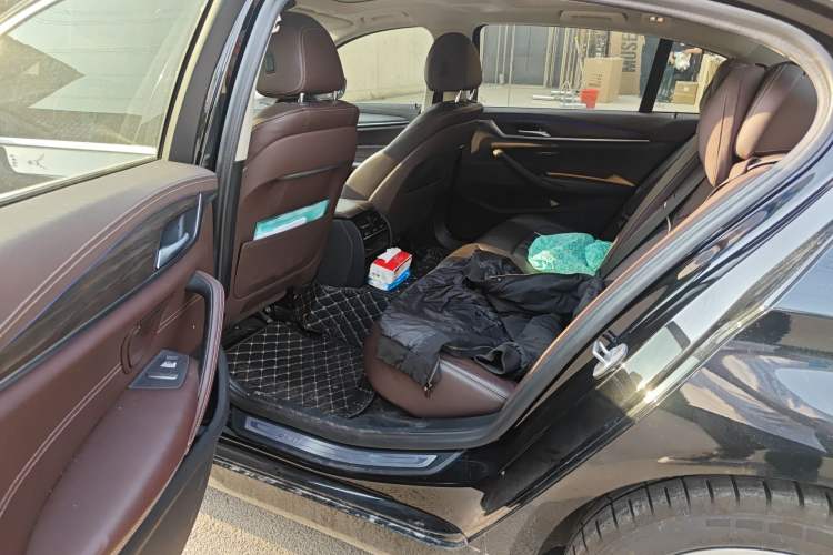 Used BMW 5 Series New Energy 2020 Mileage Upgrade Version 530Le Luxury Package Left Rear Seat