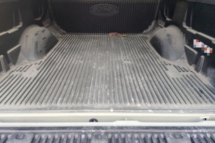 Used Ford F-150 Raptor 
