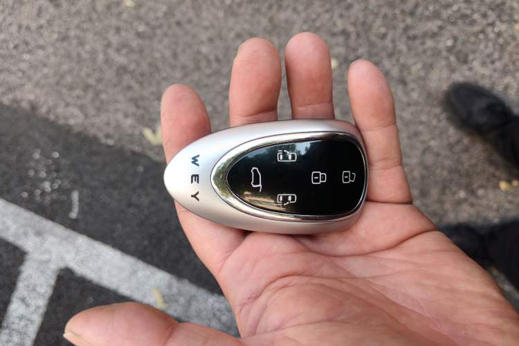 Used Wey Gaoshan 2025 Four-Wheel Drive Alpine 8
