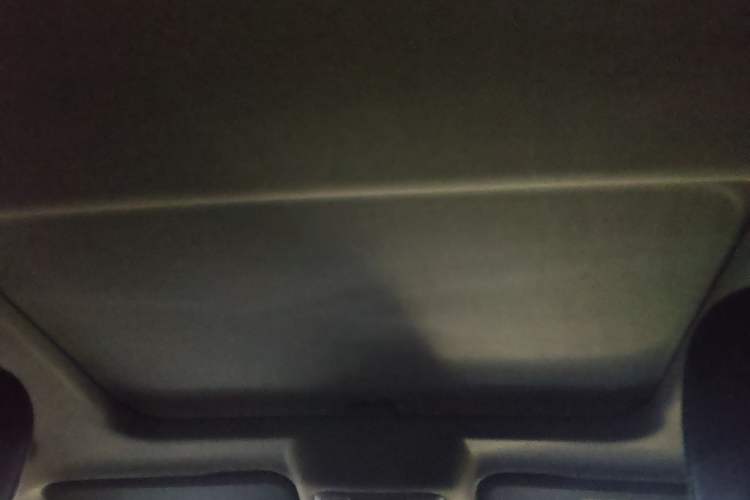 Used Tank 300 2021 Off-Road Edition 2.0T Conqueror