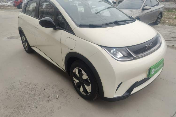 Used BYD Dolphin 2025 420km Free Edition
