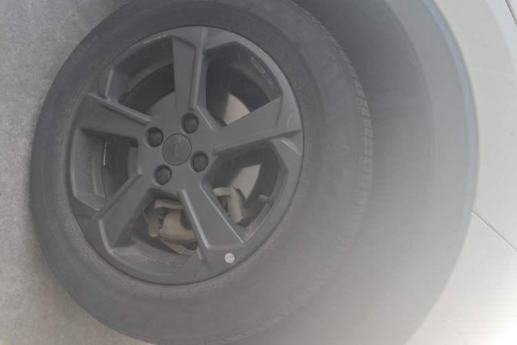 Used Geometry E Firefly 2023 401KM Linglong Tiger 5-Seater