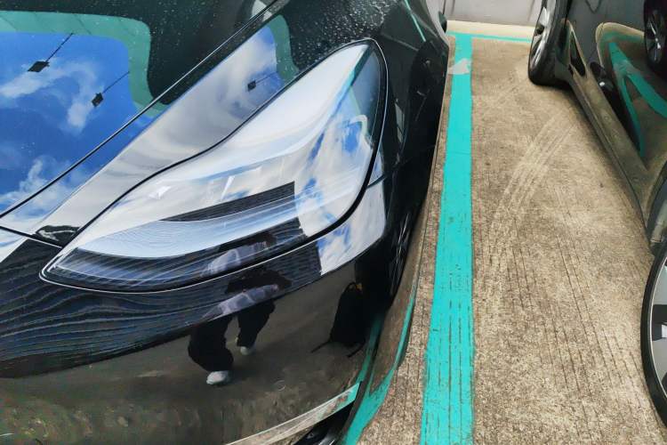 Used Tesla Model Y 2022 Revised Version Long-Range All-Wheel Drive
