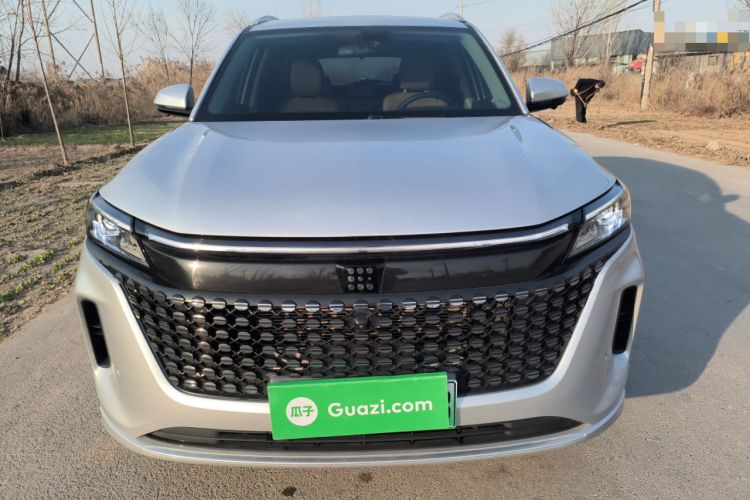 Used Landian E5 2023 1.5L DE-i 100KM Zhenxiang Edition 7-Seater