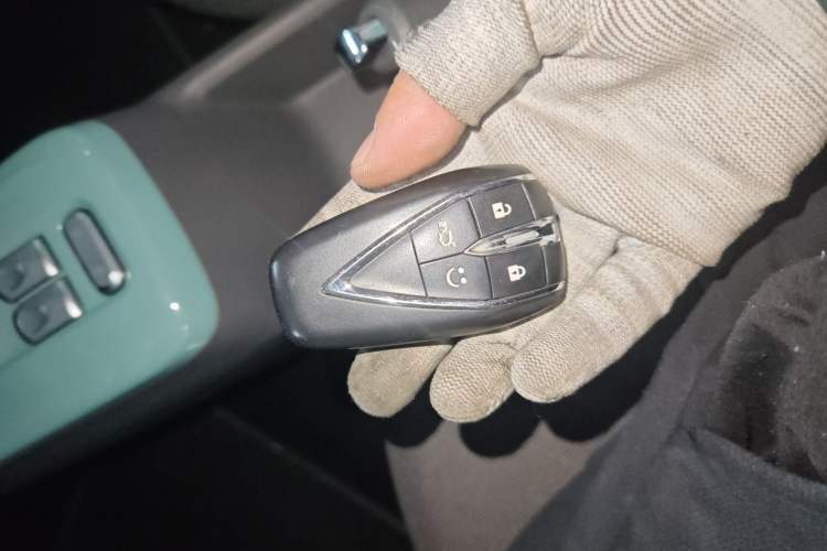 Used Qiyuan Lumin 2022 210km Sweet Edition