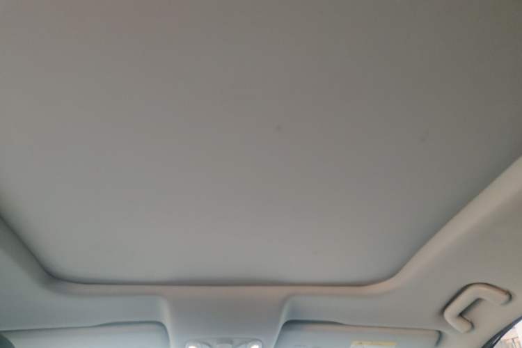 Used GAC Trumpchi GS8 2020 390T Two-Wheel Drive Luxury Smart Connectivity Version (7 Seats) Headliner