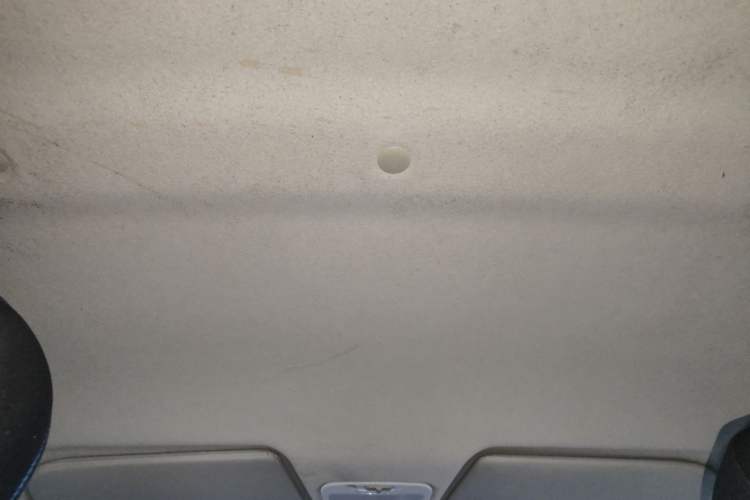 Used JMEV E200L 2018 E200L Standard Model (250 km) Headliner