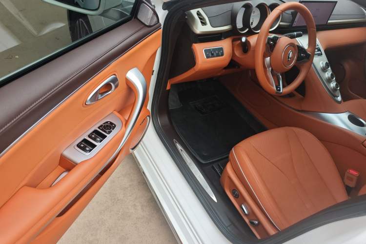 Used ORA Lightning Cat 2022 555 km Luxury Edition Driver Seat