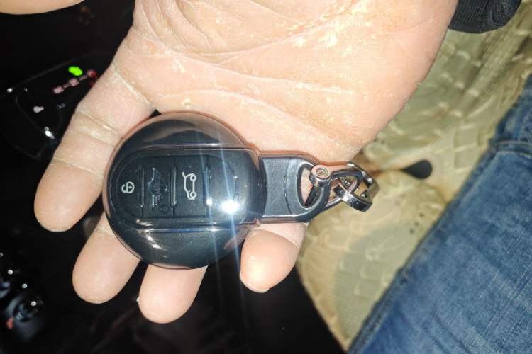 Used MINI MINI 2022 1.5T COOPER Artist Five-Door Edition