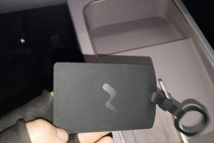 Used ONVO L60 2024 60 kWh Rear-Drive Version