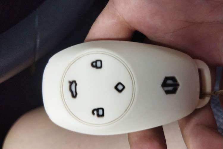 Used Leapmotor T03 2022 Agate Edition