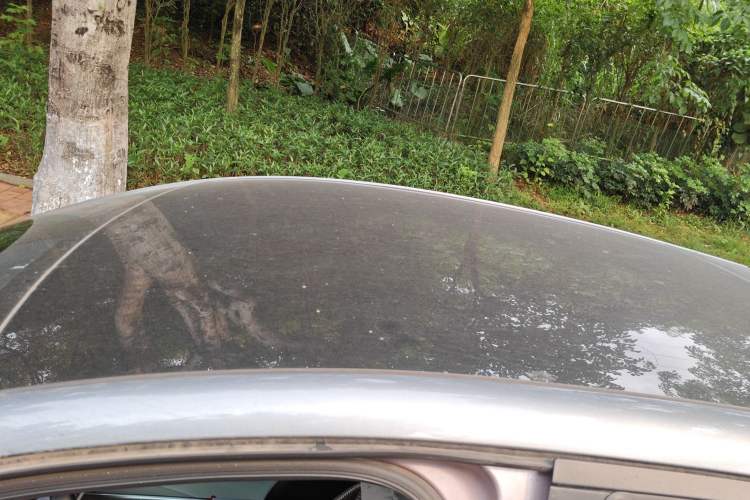 Used BYD Dolphin 2021 401km Knight Edition Roof