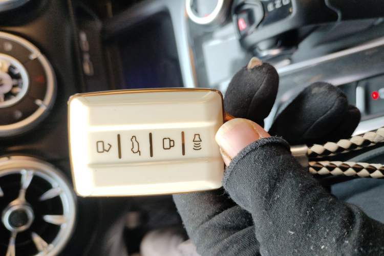 Used Tank 300 2021 Off-Road Edition 2.0T Challenger