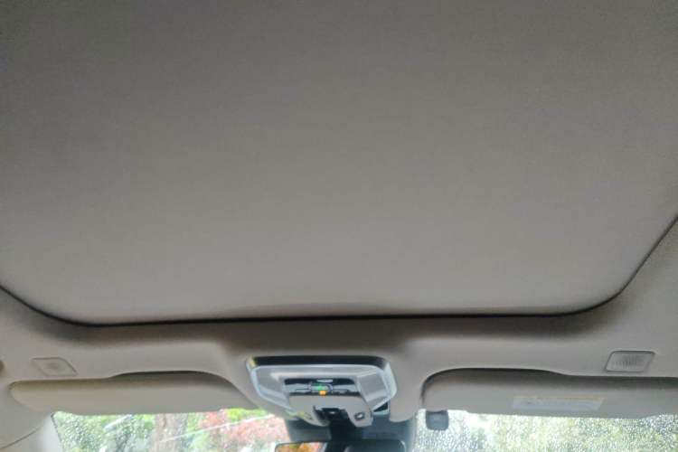 Used Hongqi H9 2020 2.0T Smart Connect Flagship Edition