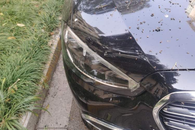 Used Mercedes-Benz S-Class 2021 S 400 L Business Model