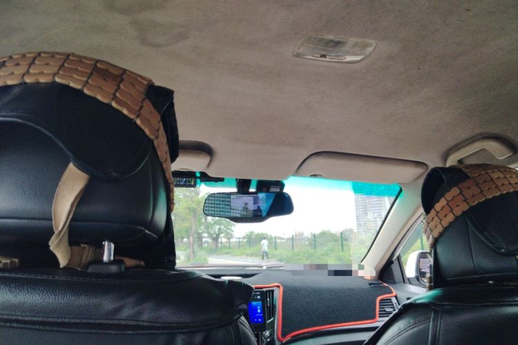 Used BYD e5 2018 Travel Edition Headliner