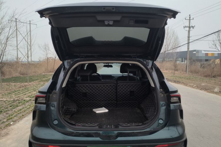 Used FORTHING T5 EVO 2024 Kungfeng Edition 1.5TD DCT Custom Model
