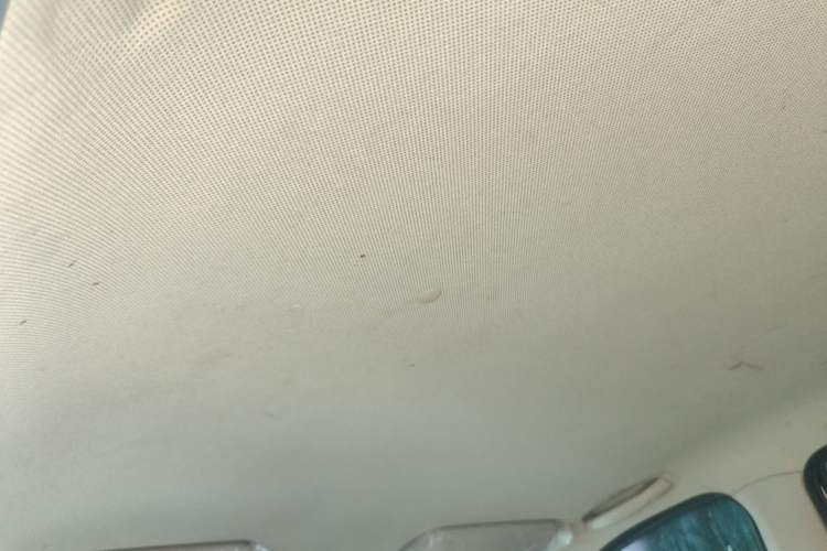 Used Wuling Hongguang 2020 1.2L S Base Model China VI LSI Headliner