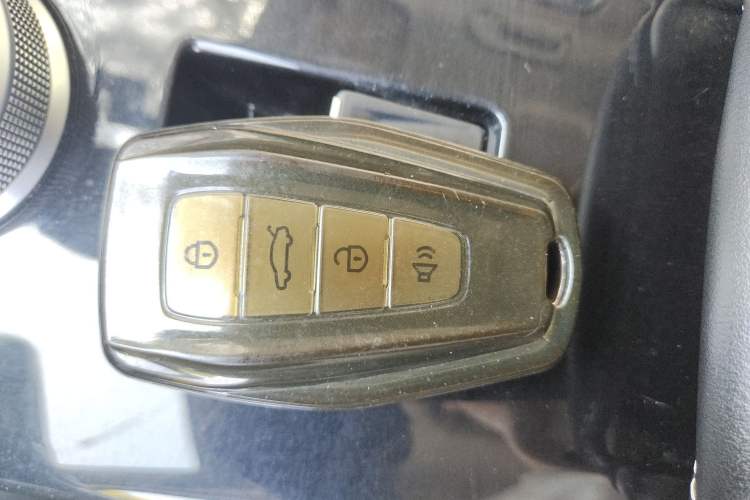 Used Geometry E Firefly 2022 320KM Cute Tiger 4-Seater