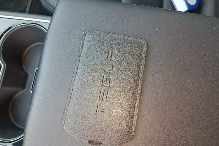 Used Tesla Model 3 2019 Standard Range Rear-Wheel Drive Upgraded Version (52 kWh)