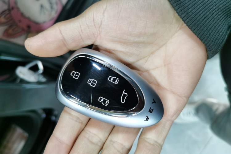 Used Wey Gaoshan 2025 Four-Wheel Drive Alpine 8 Interior 1