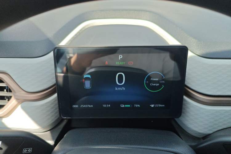 Used SOL E10X 2022 Flower Fairy Design Four-Leaf Clover
