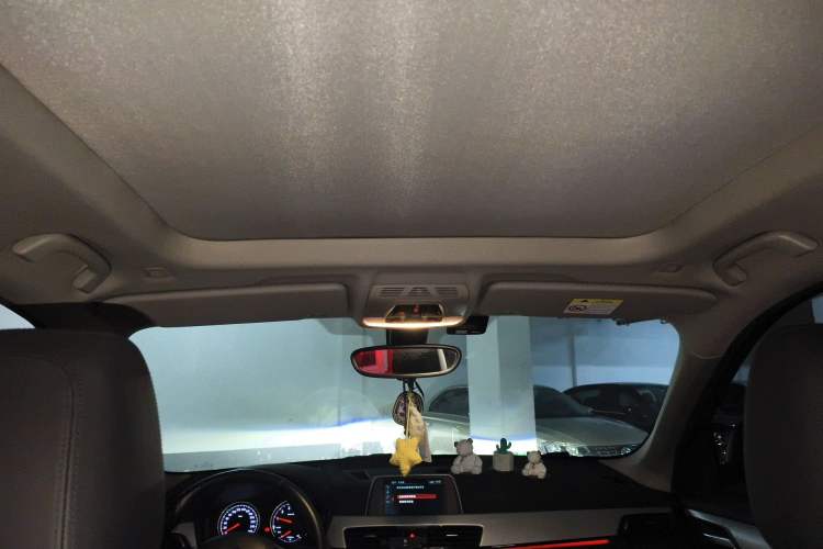 Used BMW X1 2019 sDrive20Li Leading Model Headliner