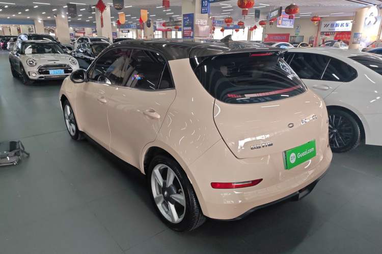 Used ORA Good Cat 2022 Morandi Edition 400km Standard Range Premium Version Lithium-Ion Battery
