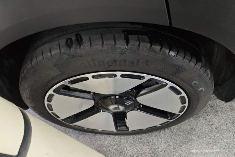 Used smart #5 2024 Ultra-Long Range Extraordinary Journey Luxury Edition