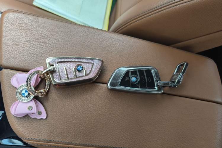 Used BMW 5 Series 2018 528Li Launch Special Edition