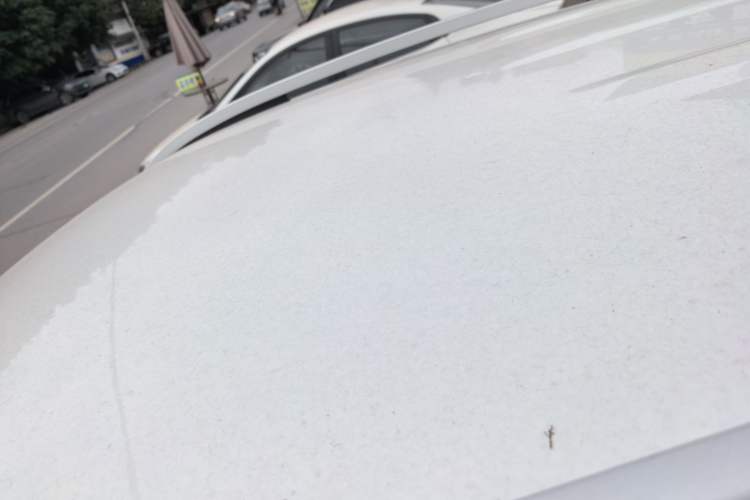 Used Haval H2 2018 Chuanxiang Edition Blue Badge 1.5T Dual-Clutch Two-Wheel Drive Fashionable Model Roof