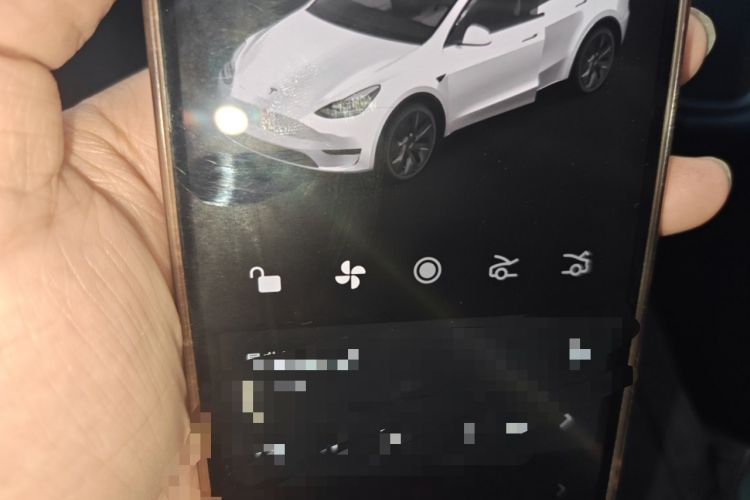 Used Tesla Model Y 2023 Rear-Wheel-Drive Version