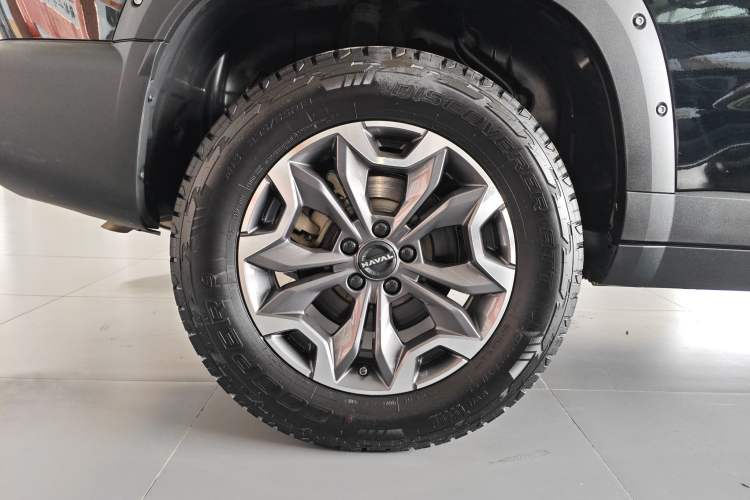 Used Haval DARGO 2024 2.0T DCT Chinese Rural Dog Edition
