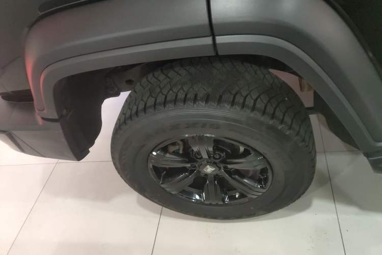 Used Tank 300 2024 2.0T Conqueror
