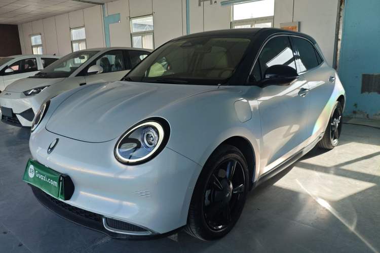 Used ORA Good Cat 2021 400km Standard Range Athena Edition Lithium-Ion Battery