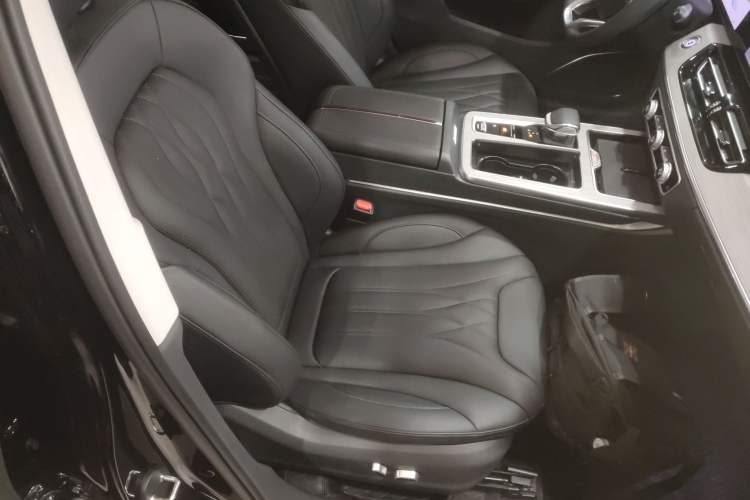 Used Hongqi HS5 2025 2.0T Two-Wheel Drive 600 000-Vehicle Commemorative Edition Right Front Seat