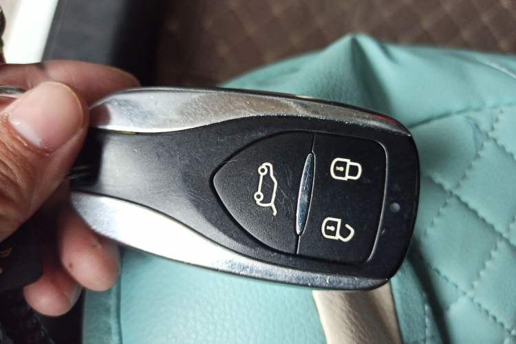 Used Dayun Yuehu 2022 30.66 kWh Two-Wheel Drive Standard Version
